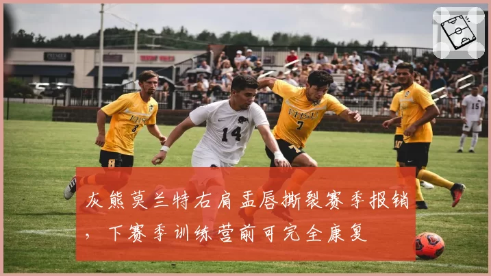 灰熊莫兰特右肩盂唇撕裂赛季报销，下赛季训练营前可完全康复